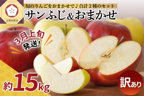 【2025年3月上旬発送】 【訳あり】 りんご 15kg 詰め合わせ 計2種(サンふじ と 他1種) 不揃い フルーツ