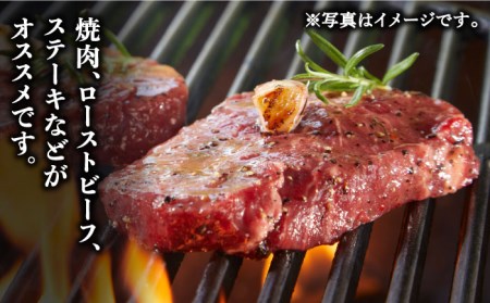 【やわらかくて濃厚なお肉！】 佐賀牛 ランプ肉 ステーキ 120g×2枚 [UCV005] 牛肉 牛 肉 焼肉 冷凍 肉 国産 佐賀 バーベキュー 和牛 赤身 高級 パーティー クリスマス 武雄市