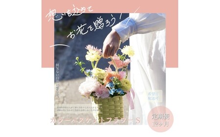 【12回定期便】季節の生花カラーバスケットフラワーS / お花 フラワー ミニサイズ アレンジメント カラーバスケット おしゃれ インテリア 省スペース プチギフト おまかせ 手作り 雑貨 季節の便り 初心者 高知【株式会社tomoni】[ATCG058]