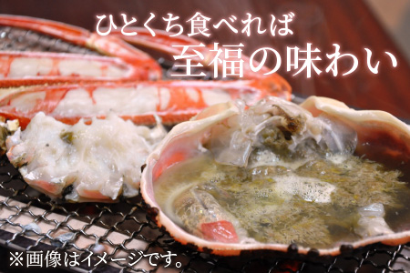 【先行予約/11月7日より順次発送】朝ゆで 越前がに1杯　【800g】 / ずわいがに 蟹 ズワイガニ 小浜市 / 小浜海産物 【配送不可地域：北海道・沖縄・離島】 [BFAA002] 