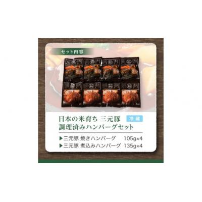 ふるさと納税 酒田市 【平田牧場】日本の米育ち◆三元豚調理済みハンバーグセット |  | 02