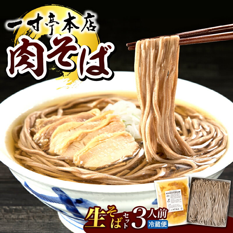 【ふるさと納税】【一寸亭本店】 冷たい肉そば 3人前 ( 190g×3束 ) 蕎麦 そば 生そば 有名店 肉そば 自宅 贈答 冷たい ご当地 一寸亭 谷地 山形県 河北町