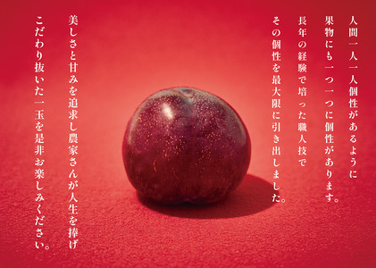 ＜2026年発送先行予約＞南アルプス市産 貴陽 約1.5kg（5～7個入り） ALPAL015