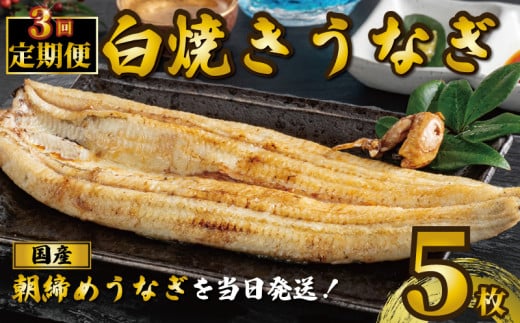 国産うなぎ 白焼き 5枚 1尾約120g 定期便3回 うなぎ 鰻 白焼き 蒲焼 定期便 うな重 鰻丼 うな丼 ひつまぶし 土用の丑の日 土用丑 魚 海鮮 魚介類 肉 肝 レバー 冷蔵 おつまみ おかず 惣菜 酒 ビール 焼酎 日本酒 ウイスキー チューハイ お取り寄せ ギフト プレゼント 贈答 贈答用 贈り物 内祝い お中元 お歳暮 母の日 父の日 敬老の日 千葉県 銚子市 有限会社石毛川魚店