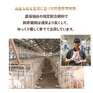 麦豚しゃぶしゃぶ3種食べ比べ 1.2kg（200g×6） 麦豚 四万十ポーク 豚しゃぶ 平野協同畜産 Ahc-A11