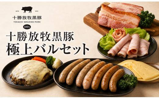 【数量限定】十勝放牧黒豚　極上バルセット 【ふるさと納税 人気 おすすめ ランキング 黒豚 自然放牧 ステーキ ハンバーグ 焼肉 生ハム ソーセージ ベーコン ハム ラクレット チーズ 惣菜 豚肉 BBQ バーベキュー バラエティセット パーティー 数量限定 十勝 北海道 鹿追町 送料無料】 SKN023