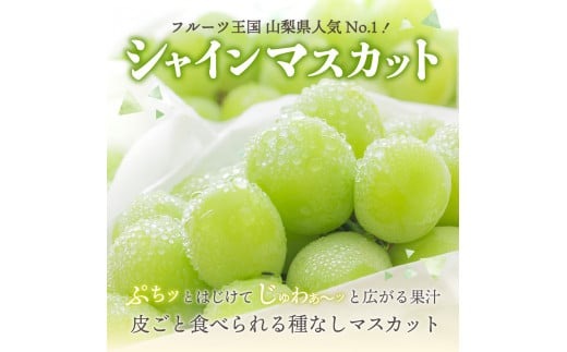 【2025年発送】高級 山梨県産 シャインマスカット 2房 （約1.3kg） 果物 旬 フルーツ 高級 シャイン ぶどう 山梨 富士吉田 フルーツ 富士吉田市