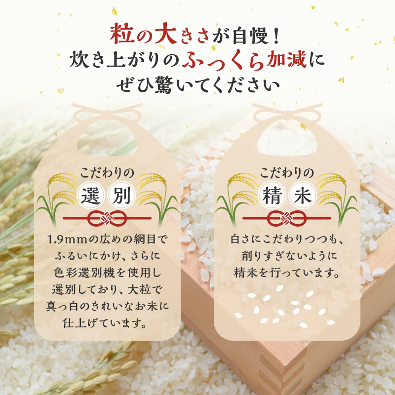 【新米先行予約】新米 令和7年 秋田県産 あきたこまち 27kg 精米 白米 米 お米 おこめ こめ コメ 令和7年産 ブランド米 ご飯 秋田 秋田県 能代市