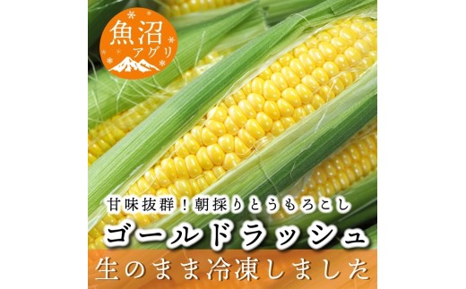 
[№5762-1026]魚沼産 冷凍生とうもろこしと冷凍粒とうもろこしのセット
