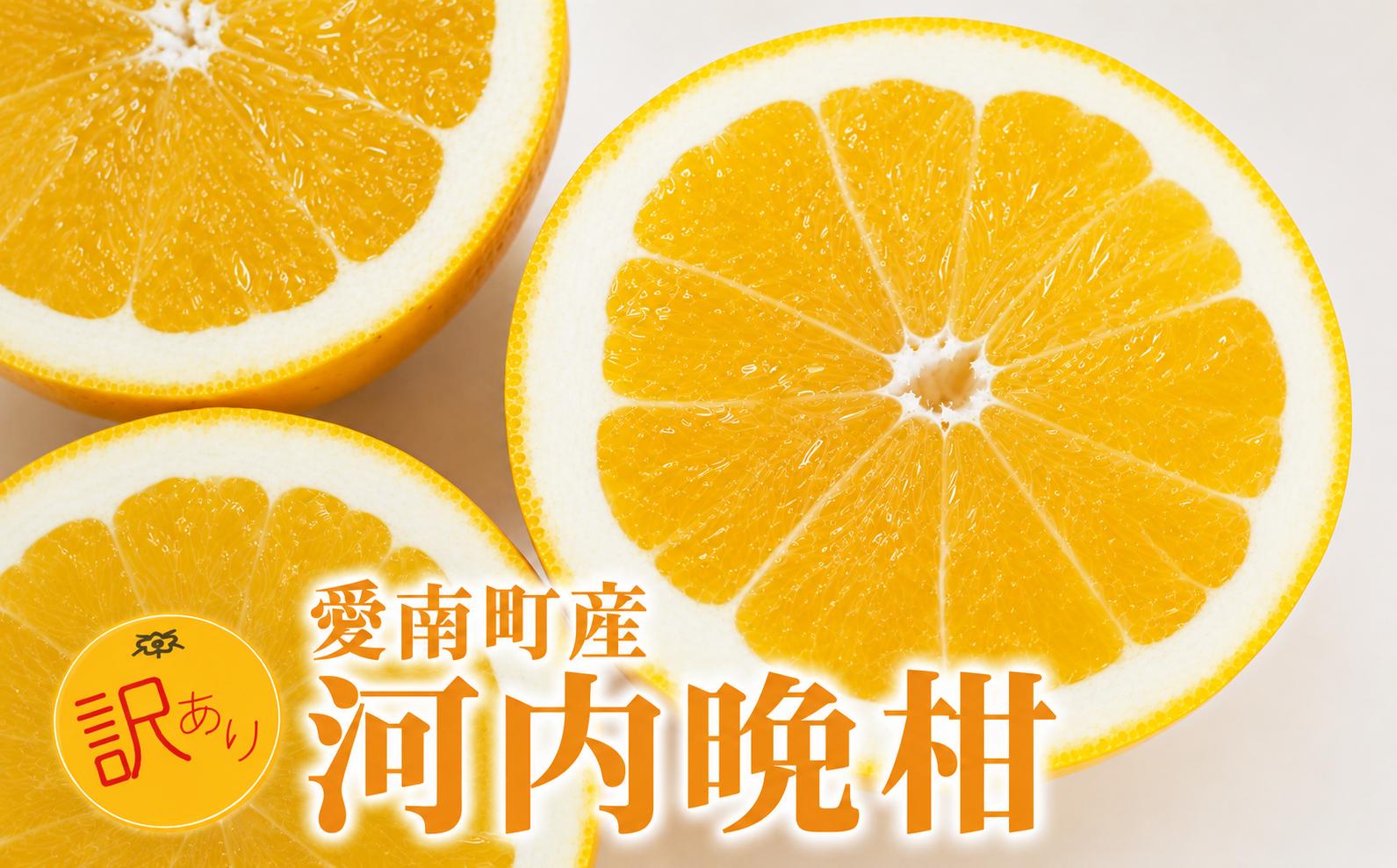 
                  先行予約 訳あり 河内晩柑 6kg＋傷み補償500g 送料無料 わけあり ワケアリ 不揃い 愛媛 愛南町産 愛南ゴールド 和製 グレープフルーツ みかん 蜜柑 柑橘 柑橘類 フルーツ 果物 くだもの 食品 食べ物 お取り寄せ グルメ 家庭用 ジューシーフルーツ 美生柑 生食 ジュース ゼリー ジャム スムージー ビタミンC 旬 愛媛県 愛南町 山口農園
                