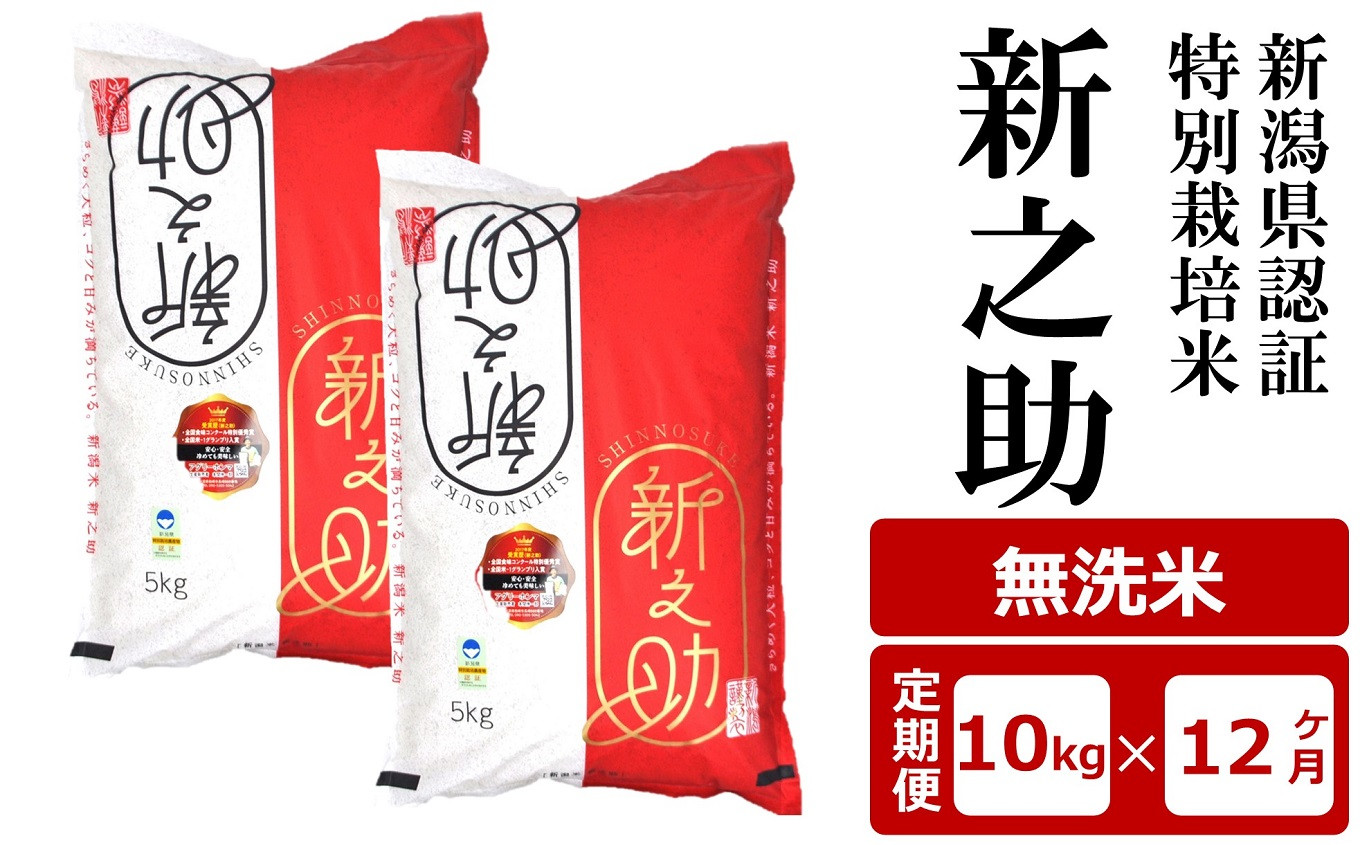
            【12ヶ月定期便】新潟県認証特別栽培米 新之助 無洗米 10kg（5kg×2袋）×12回（計 120kg）アグリーホンマ[Y0377]
          