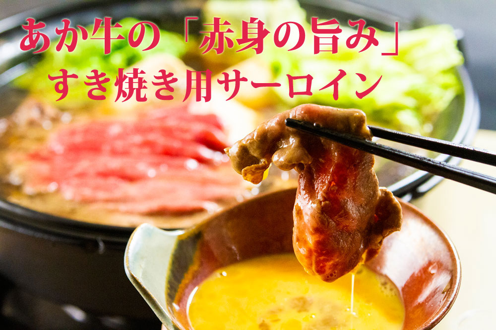 【JALふるさと納税限定】すき焼きサーロインと手づくり赤牛ハンバーグのセット   阿蘇グルメ 熊本和牛 あか牛サーロイン  すき焼き用和牛 赤身肉  個包装ハンバーグ 真空パック 冷凍和牛グルメ 旨み
