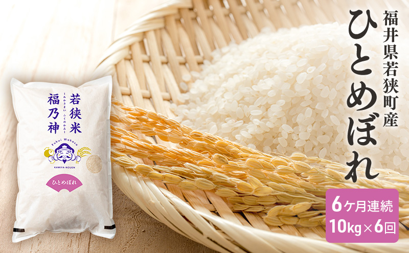 6ケ月連続 福井県若狭町 ひとめぼれ （一等米） 10kg（5kg×2）（神谷農園） お米 ブランド米 銘柄米 ご飯 おにぎり お弁当 産地直送 和食 主食 