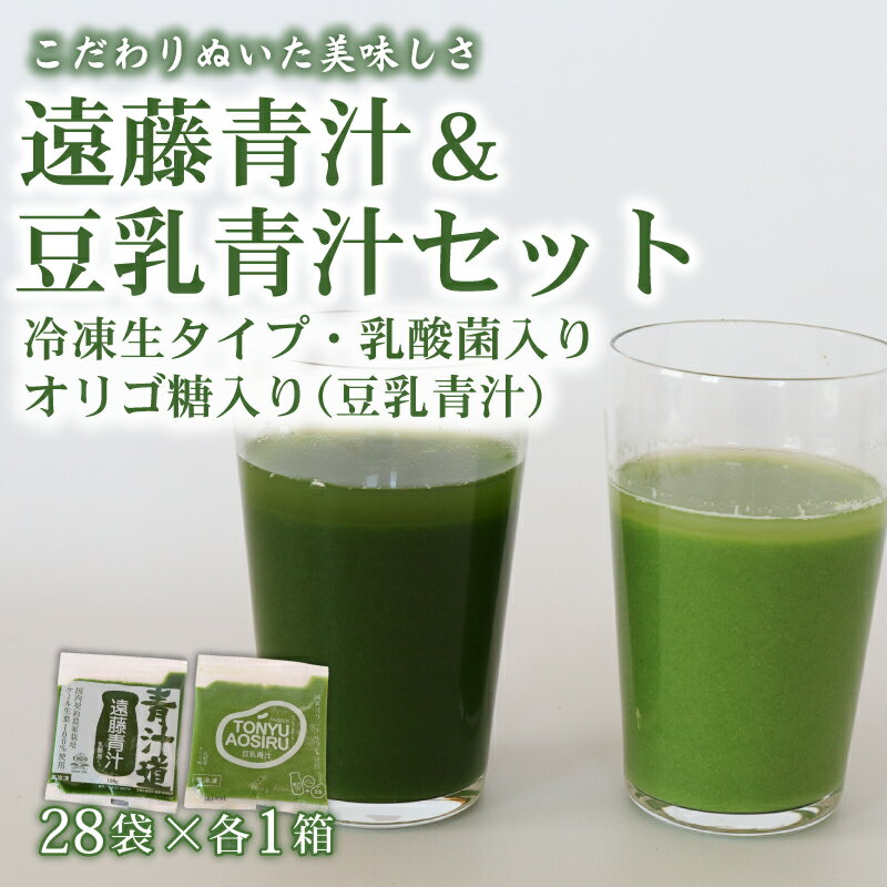 【ふるさと納税】 遠藤青汁と豆乳青汁 生 冷凍 各28袋×2種セット 計5.6kg 100g × 56袋 健康 美容 乳酸菌 国産 ケール ビタミン ミネラル 食物繊維 冷凍 ロングセラー お試し青汁 遠藤青汁 新鮮 高知県 南国市
