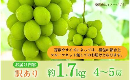 【2026年産】 訳ありシャインマスカット1.7kg ぶどう 葡萄 ブドウ マスカット 果物 くだもの フルーツ デザート 旬の果物 旬のフルーツ 長野