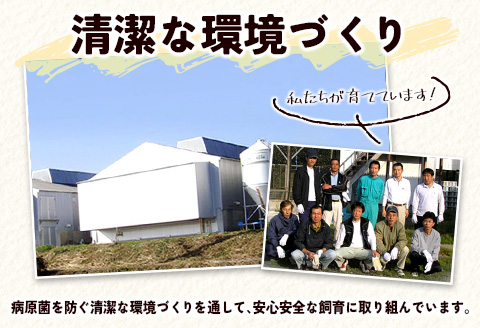 ＜児湯養鶏自慢の卵 ＞ネッカリッチ赤たまご「児湯一番」計60個（20個入×3箱）【B23】