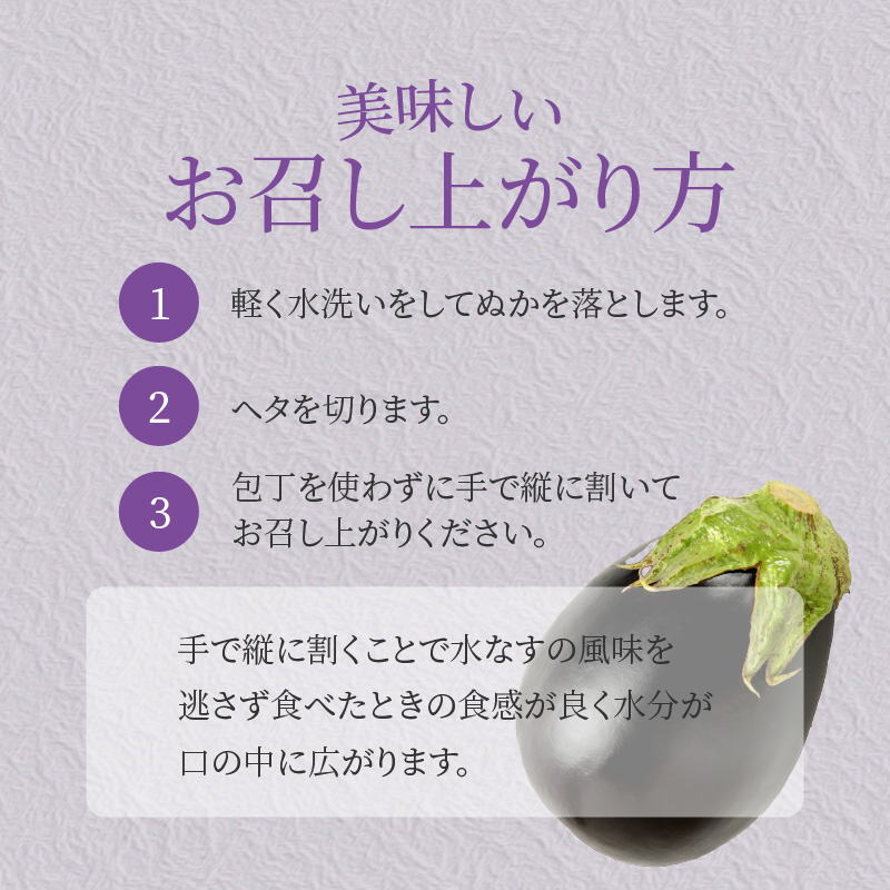 特選 水なす 浅漬け 6個【新鮮 野菜 泉佐野産 茄子 やさい 高評価 数量限定】 010B1038