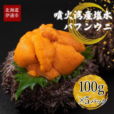 ふるさと納税 伊達市 北海道 噴火湾産 塩水 バフンウニ 100g×5パック 計500g