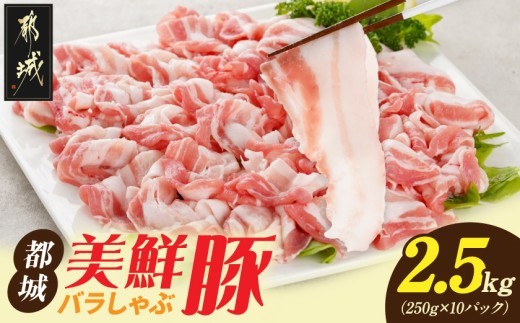 
「都城美鮮豚」バラしゃぶ2.5kg_AC-5402_(都城市) 豚肉 ブランド豚 都城美鮮豚 銘柄豚 豚バラしゃぶしゃぶ肉 250g×10パック 2.5kg
