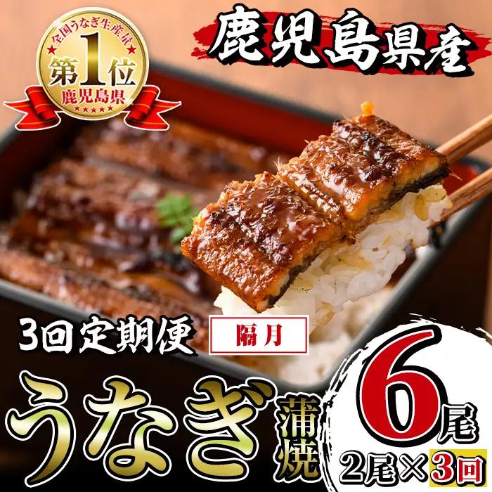 i853-B ＜定期便・計3回(隔月)＞鹿児島県産うなぎ蒲焼2尾セット＜(約140g×2・計約280g)×全3回＞うなぎ 鰻 ウナギ 2尾 蒲焼き 国産 鹿児島県産 焼きたて 生産量日本一 真空パック おかず 晩御飯 特別な日 【薩摩川内鰻】