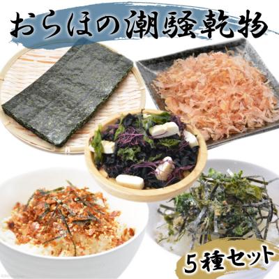 ふるさと納税 気仙沼市 【港町から贈り物】おらほの潮騒乾物セット 5種類 豊洋海産流通 宮城県気仙沼市 20565628◎