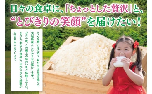 【数量限定】【令和7年産】美味追求 茨城県産こしひかり 5キロ 精米【お米 ごはん こしひかり おにぎり 茨城県 水戸市】(NA-1)