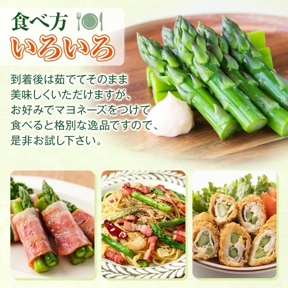 【27年先行予約】農家直送 朝採れ 春グリーンアスパラ Lサイズ 900g（450g×2袋） | アスパラ