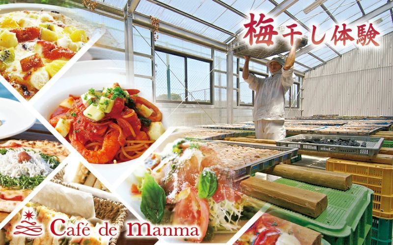 カフェドマンマ食事券1500円分＆梅干し作業体験チケット  【iwasho008A】