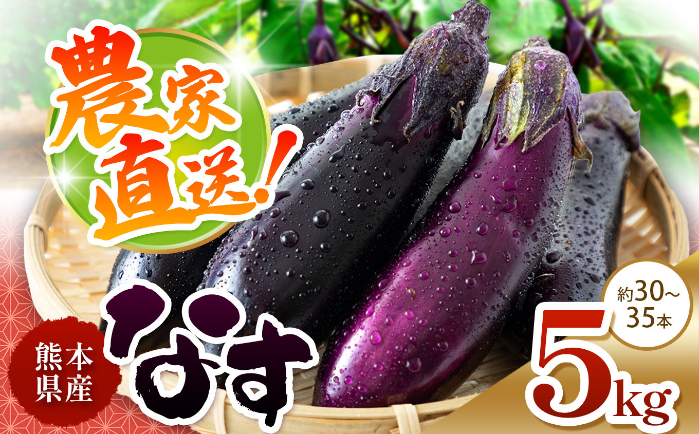 
            なす 約 5kg 和水町産 野菜 5月頃～発送いたします | 熊本県 熊本 くまもと 和水町 なごみまち なごみ なす ナス 茄子 なすび 野菜 季節の野菜 季節限定
          