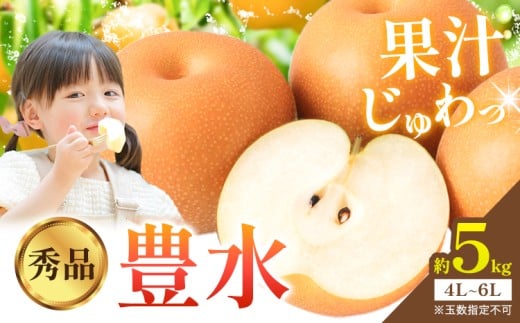梨 豊水 秀品 約5kg 4L ～ 6L  井岡農園 《8月下旬-9月中旬頃に出荷予定》 栃木県 野木町 なし ナシ くだもの 果物 青果物 フルーツ
