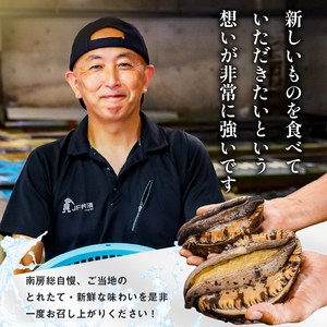 【先行受付 2026年5月～9月上旬発送予定】房州産天然黒あわび約550g mi0014-0007
