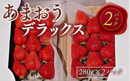 あまおうデラックス（2パック）いちご 苺 あまおう 人気 大人気 福岡 九州 フルーツ ストロベリー 先行予約※2024年2月上旬から4月上旬にかけて順次出荷予定 MY001