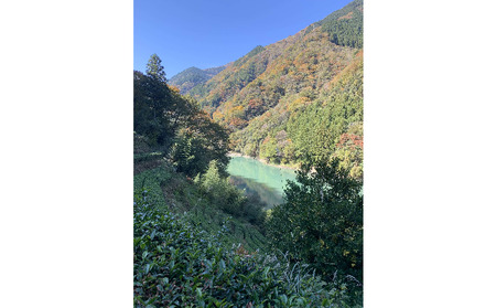 すっきりとした味わい！ シングルオリジン手摘みの和紅茶～中井侍紅茶　40g