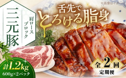 【全2回定期便】三元豚 肩ロースブロック1.2kg（600g×2パック）《喜茂別町》【平田牧場】 肉 豚肉 ロース ブロック ローストポーク 煮豚 酢豚 煮物 冷凍配送 北海道 [AJAP114] 35000 35000円