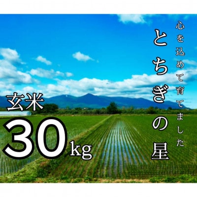令和7年産 とちぎの星 玄米 30kg【1628168】