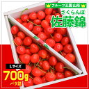 【ふるさと納税】☆フルーツ王国山形☆さくらんぼ 佐藤錦 700g 【令和7年産先行予約】FS24-778