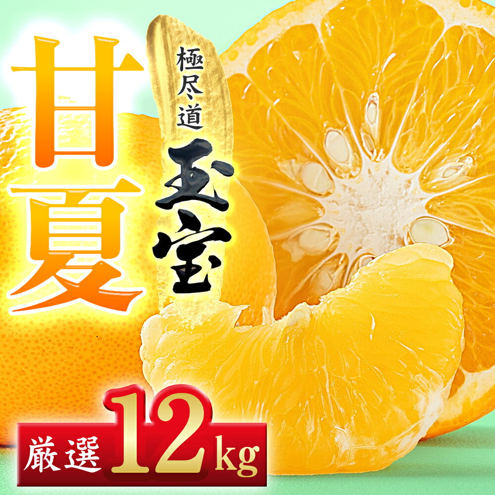 【ふるさと納税】【先行受付】【愛媛名産】玉宝甘夏　12kg【F64-75】【ふるさと納税 果物 くだもの あまなつ みかん ミカン 蜜柑 柑橘 フルーツ 期間限定 季節限定 特産品】YWTY085