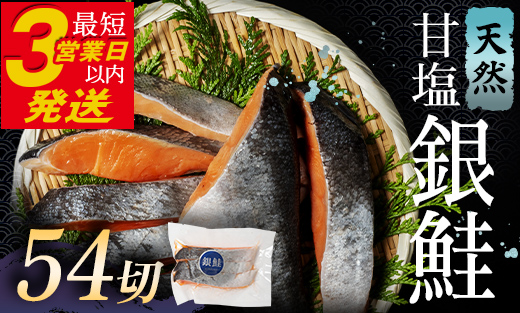 銀鮭 3切×18ハ?ック 計54切れ 朝ごはんやお弁当に 銀鮭 54切れ 真空保存 甘塩 天然 銀鮭 鮭 しゃけ サケ さけ ご飯のお供 朝食 真空 朝食 お弁当 おかず 小分け 通常発送 F4F-2856