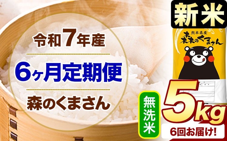 
            【6ヶ月定期便】新米 令和7年産 無洗米  森のくまさん 5kg 5kg×1袋  《お申し込みの翌月から出荷》 熊本県産 無洗米 精米 米 こめ コメ お米 kome
          