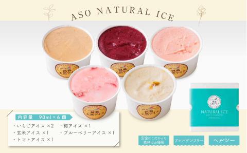 阿蘇天然アイス 極みシリーズ 6個セット アイス ジェラート グランプリ 受賞 6種類 セット 詰め合わせ バラエティ 素材 こだわり 人気 美味しい 贅沢 冷たい 夏休み 熊本 阿蘇