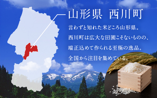 FYN1-259  【3月発送】 令和7年産 山形県産 はえぬき 10kg 2025年 お米 米 米米 ごはん ご飯 白米 国産 ブランド米 節水 時短 冷めてもおいしい お取り寄せ 食品 山形県 西