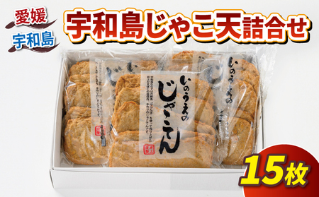 手押し じゃこ天 10枚 けずり蒲鉾 2袋 詰合せ 井上蒲鉾本舗 手押しじゃこ天 手作り 蒲鉾 けずりかまぼこ かまぼこ 揚げかまぼこ 天ぷら 冷蔵 小魚 すり身 練り物 ねりもの 練り製品 さつま揚げ 惣菜 フライ 小分け 酒 おつまみ 肴 魚肉 水産 加工品 特産品 郷土料理 国産 愛媛 宇和島 C010-003001