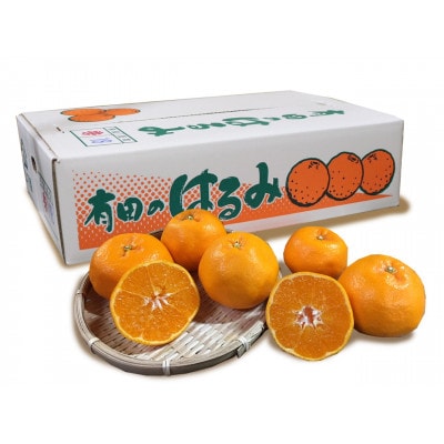 【まごころ手選別】和歌山産　はるみ　約5kg　12玉～18玉(3L～Lサイズ)【2027年発送】【1748629】