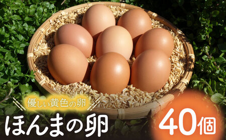 平飼いニワトリの有精卵！ほんまの卵 40個（10個×4パック） / たまご 卵 平飼い / 佐賀県 / 本間農園[41AJAA003]