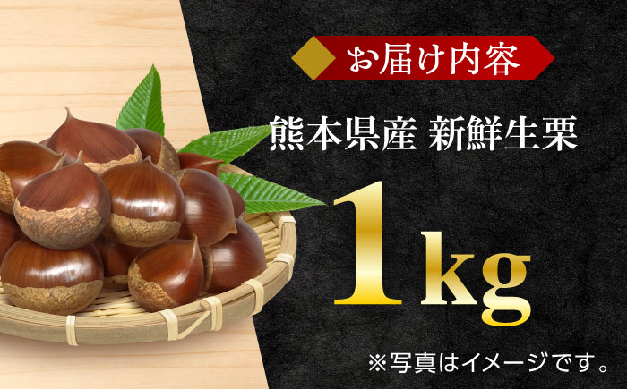 【先行予約】【9月より順次発送】新鮮　生栗 1kg【「のん気・元気」百姓家】 [YAL019]