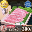 【ふるさと納税】No.021 常陸牛 厳選！焼肉用カルビ300g（A5・A4等級）＜茨城県共通返礼品＞ ／ 牛肉 黒毛和牛 高級 送料無料 茨城県