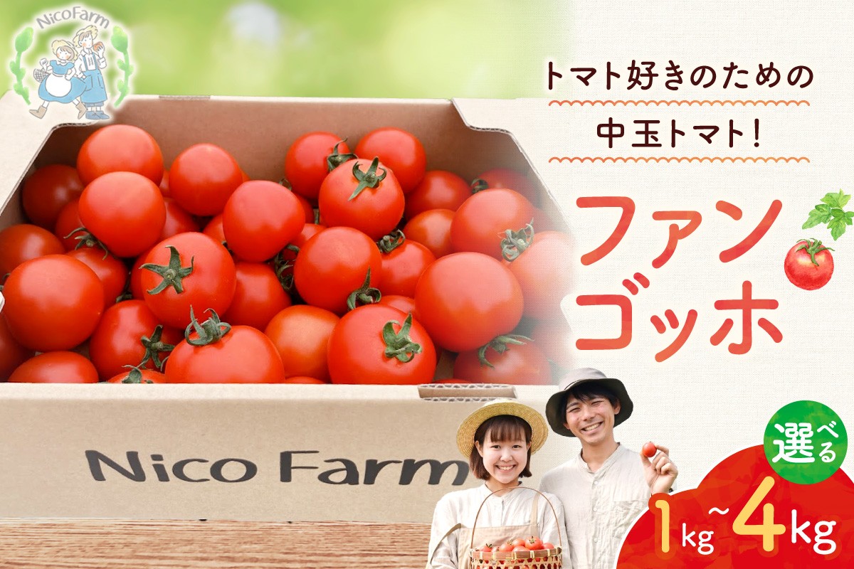 
                  【容量が選べる！】【先行予約2026年7月】トマト好き必見！食べ応え抜群！ファンゴッホ 肉厚中玉トマト 酸味と甘みのバランス
                