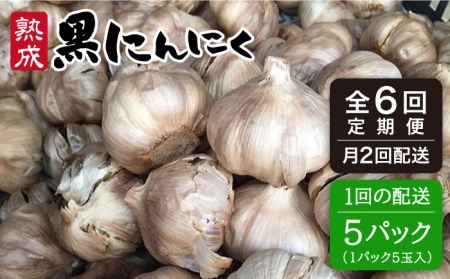 【全6回定期便】【頒布会】熟成 黒 にんにく 定期 コース 5パック《糸島》【シーブ】 [AHC004] にんにく にんにく にんにく にんにく にんにく にんにく にんにく 
