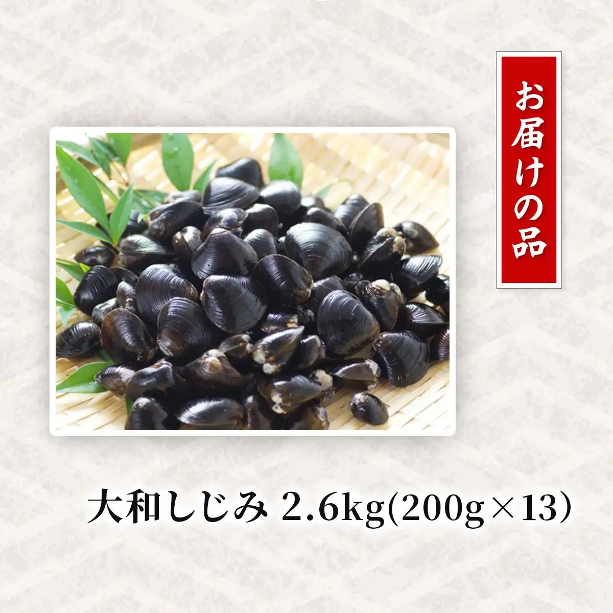 網走湖産 砂出し大和しじみ 2.6kg(200g×13） ABW118