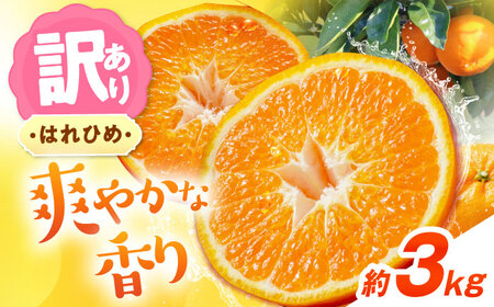 みかん 訳あり はれひめ 約3kg フルーツ 果物 みかん 訳あり BJAZ003